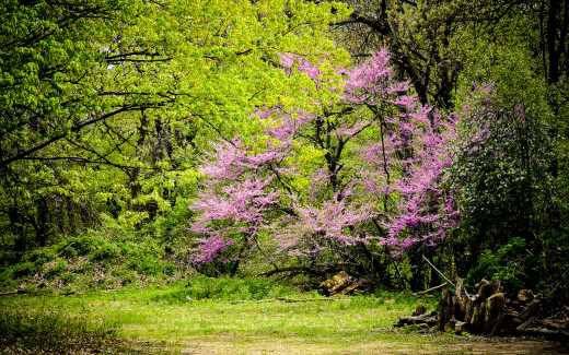 697283 (a): :2560x1600